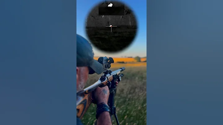 The Silent Assassin: .22LR Rabbit Hunting With Subsonics