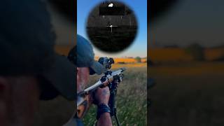 The Silent Assassin: .22LR Rabbit Hunting With Subsonics