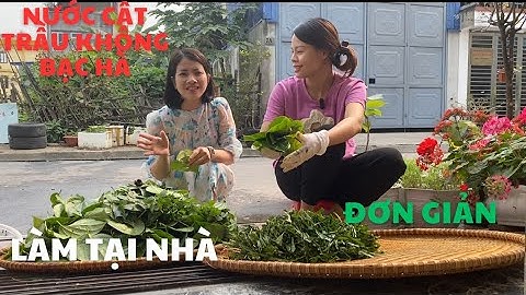 Cách làm nước trầu không bạc hà trị sâu răng, viêm họng cực dễ tại nhà.