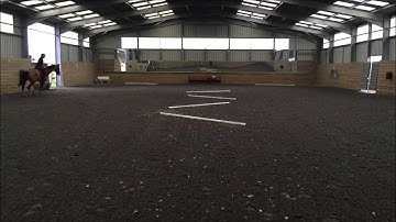 Honeychop Star Rebecca attempts Tim