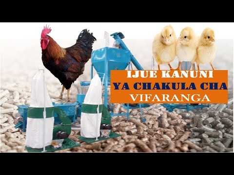 Video: Jinsi Ya Kutengeneza Chakula Cha Habari