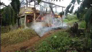 Download lagu Cerita Tentang Masyarakat Adat Semende, Dusun Banding Lama