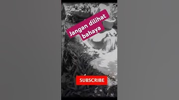 5 DAUN PEMBAWA REZEKI DAN KEBERUNTUNGAN 2024#shorts