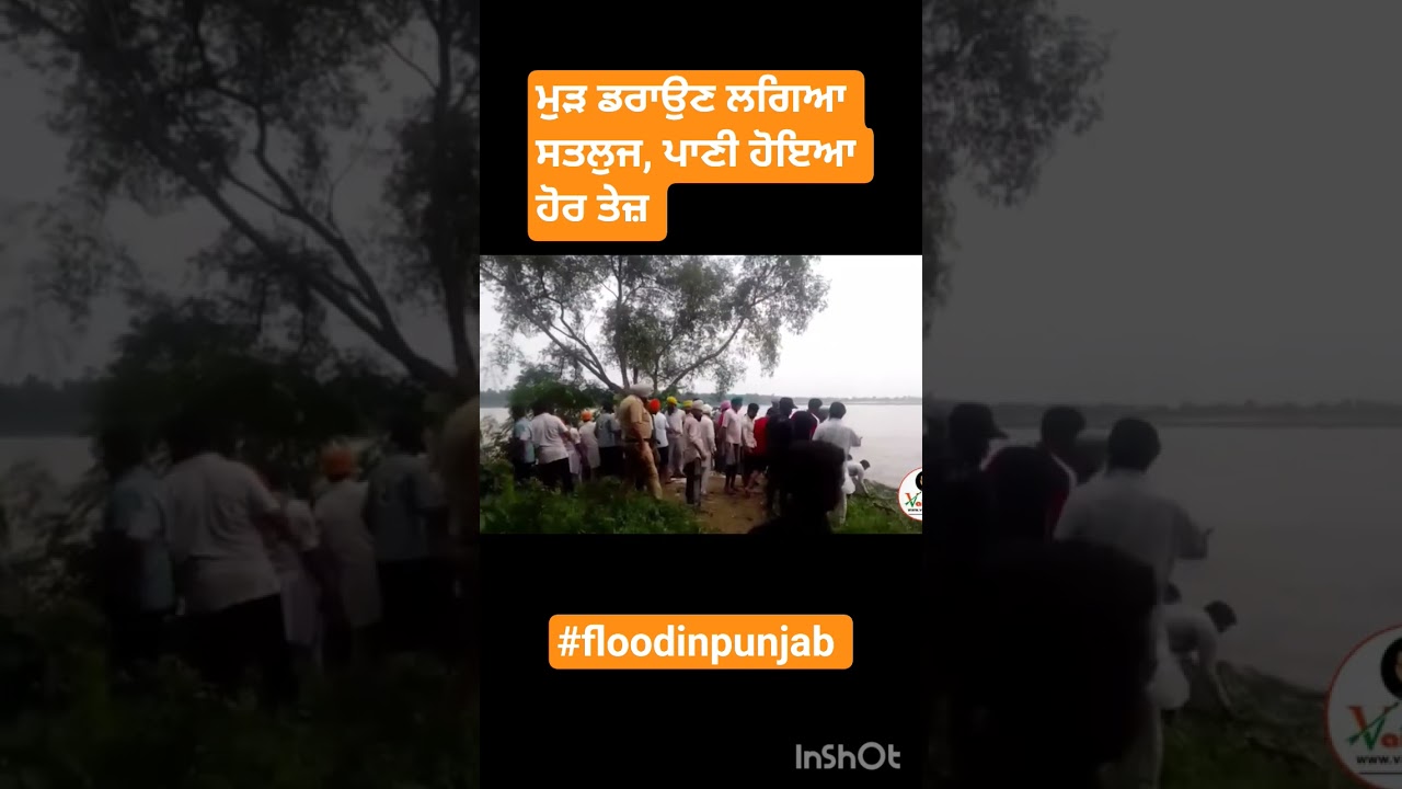 #punjabfloods