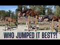 Free Jumping Our Thoroughbreds