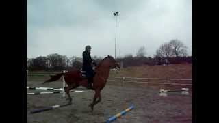 Casper 20120409 Nr 8