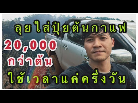 ลุยใส่ปุ๋ยต้นกาแฟ 20,000 กว่าต้น ใช้เวลาแค่ครึ่งวัน