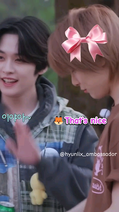 When I.N and Han got drunk 😂❤️‍🔥 #kpop #stay #straykids #skz #jeongin #hanjisung #leeknow #seungmin