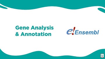 Bioinformatocs: Gene Analysis & Annotation | BioCode Ltd