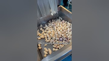Automatic taro peeling machine🥰