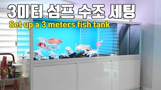 3미터 섬프 수조 세팅하기 Set up a 3 meters fish tank