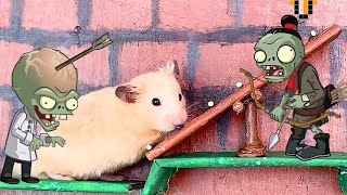 🐹🦀 ZOMBIE Hamster Maze with Traps 😱[OBSTACLE COURSE]😱 + BONUS Escape Zombies