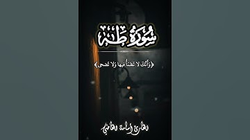 فمن اتبع هداي فلا يضل ولا يشقى | سورة طه القارئ أسامة القاضي🤎🍂