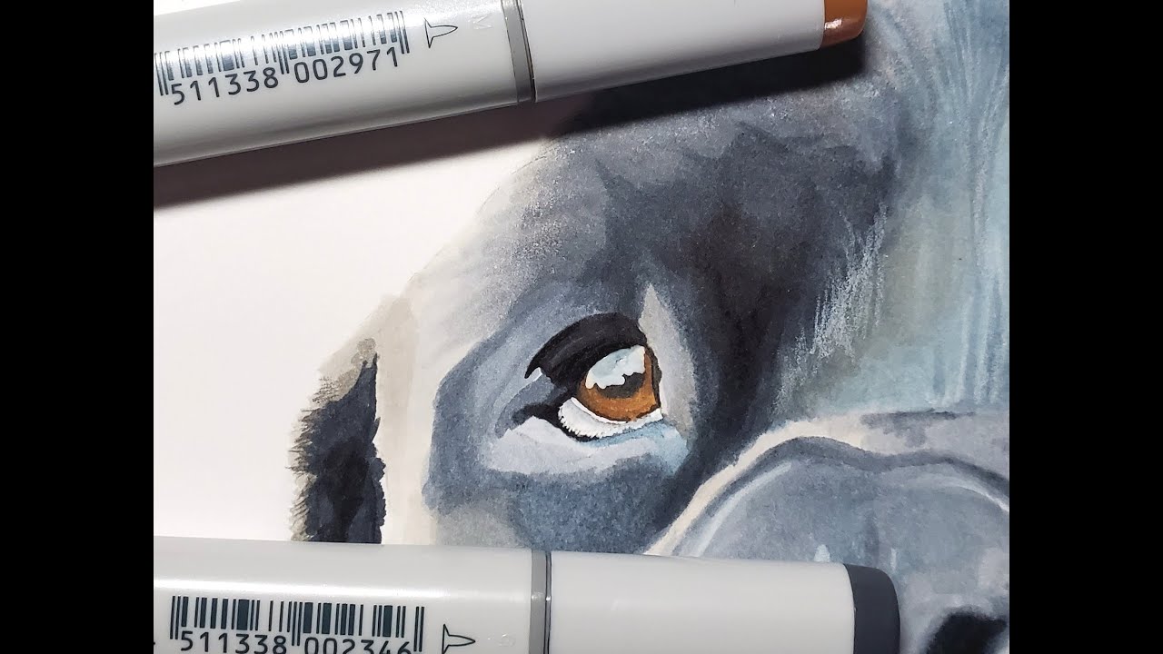 Drawing a Dog with Copic Markers - YouTube
