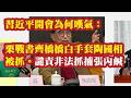 习近平开会为何叹气：栗战书齐桥桥白手套陶国相被抓。华侨城段先念至今未官宣。强烈谴责海淀公安 非法抓捕张内咸刑拘