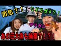 外来生物だらけの川で生き物一番多く取った人の優勝 外来生物だらけの川で生き物一番多く取った人の優勝