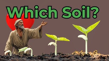 The Parable of the Sower Explained: Which Soil Are You?