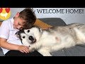 HUSKIES BEAUTIFUL REUNION WHEN KIDS RETURN FROM SCHOOL!