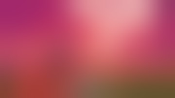 Toss the Turtle Flash Game (No Commentary)