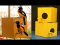 How to Make bird breeding box - Nesting Box
