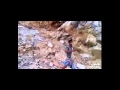 ಕ್ಷೇತ್ರಪಾಲಕ/kshetra palaka