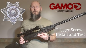 Gamo Swarm Maxxim Gen 2 10x Trigger Screw Install (Airgun Detectives)