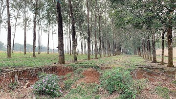 Bán khoảng 1 mẫu 1 (10.941m2) đất xã Bình Giã, Tp.HCM. Giá 6,5 tỷ. Liên hệ : 0372107725