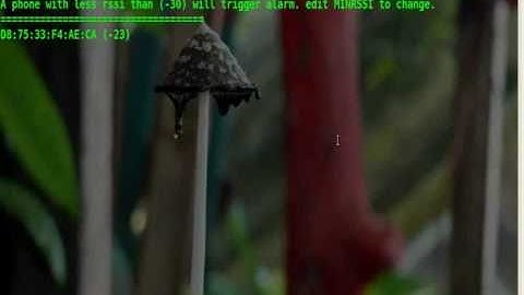 Setup phone-theft alarm script in 1 minute