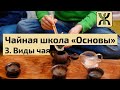 Чайная школа &quot;Основы&quot;. Часть 3. Виды чая