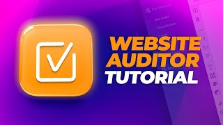 How to Use WebSite Auditor for SEO in 2023