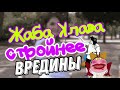 Vredina Life/ Жаба Клава и то стройнее🐸