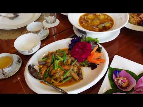 ใต้ต้น ร้านอาหาร สันกำแพงเชียงใหม่ | LADY ALLLYN cafe & restaurant | By Farrii Storii