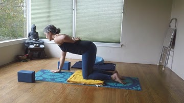 Pelvic rotation in Cat Cow vinyasa (with variation for sore wrists)