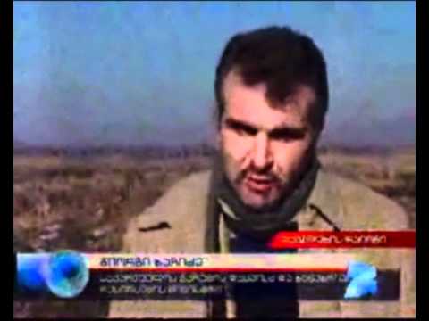 MOE.  ჭიაურის ტყის აღდგენის პროექტი. 16-01-2009