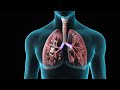 Spirometry | Test for Lung Function | Nucleus Health