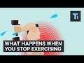 What Happens To Your Body When You Stop Exercising | The Human Body