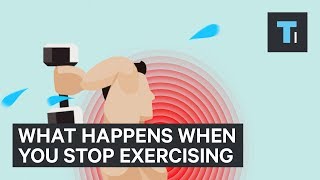 What Happens To Your Body When You Stop Exercising | The Human Body