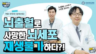 뇌출혈로 인해 사망한 뇌세포는 재생할 수 없다??