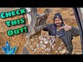 Crystal Mining Amethyst & Rare Quartz in North Carolina | with @DALLMYD