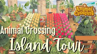 This Island Will Blow You Away  Natural Theme // Animal Crossing 5 Star Island Tour