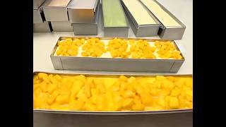 Summer Dessert Paradise Is Waiting for You Tiramisu August 16