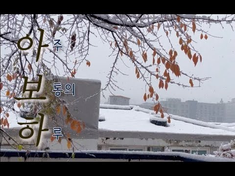 vlog. 11월의 음대생의 아보하 | 가을 겨울 그 사이 어딘가🍂☃️