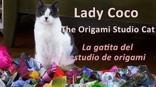 Coco -The Origami Studio Cat Coco -La Gaa Del Estudio De Origami