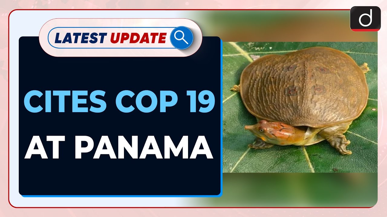 CITES CoP 19 At Panama Latest Update Drishti IAS English YouTube cites-cop-19-at-panama-latest-update-drishti-ias-english-youtube