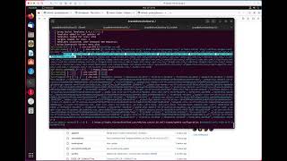 Nuclei Vulnerability scanner   basic scans