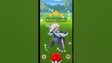 When I Got max out shundo Pokémon #shorts #shundo #100iv #special #shiny #pokemon #catch #ultragoo