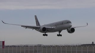 A350 Qatar Airways landing