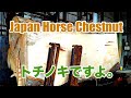 トチノキの製材です。Japan Horse Chestnut Sawing!!