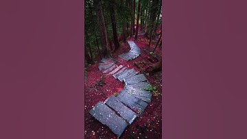 تلاوة خاشعة القارئ عبدالرحمن مسعد(5)