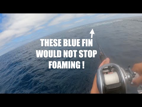 Fishing The MOST INSANE BLUE FIN TUNA FOAMERS EVER!